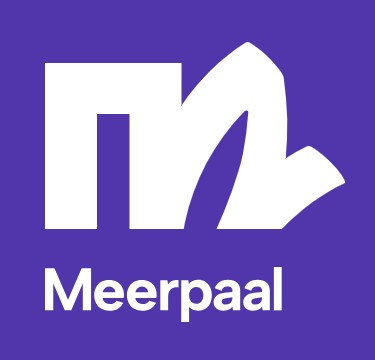 Ries Kleijnen exposeert in de Meerpaal in Dronten.